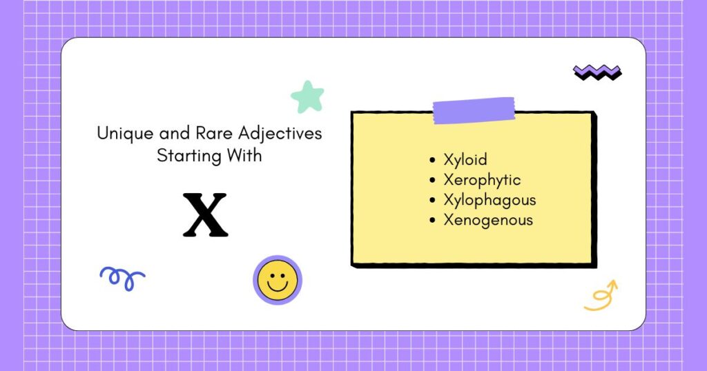 Unique and Rare Adjectives Starting With X